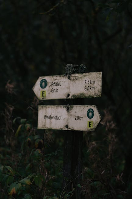 Signpost in the woods representing financial direction and navigation
